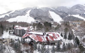 Гостиница Hakuba Tokyu Hotel  Хакуба